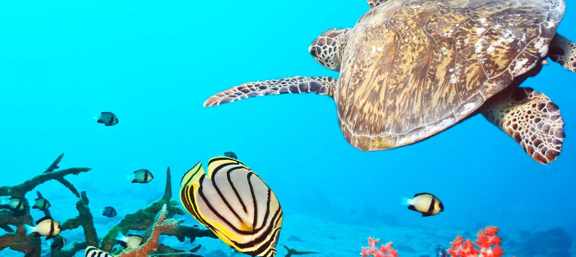 efficientiamo per salvare anche questo